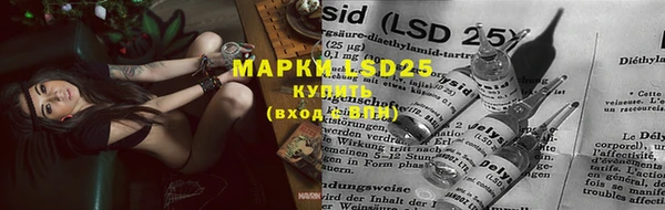 мяу мяу мука Лабытнанги