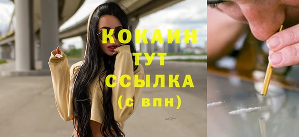 мяу мяу мука Лабытнанги