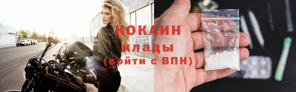 тгк Ладушкин
