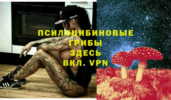 мяу мяу мука Лабытнанги