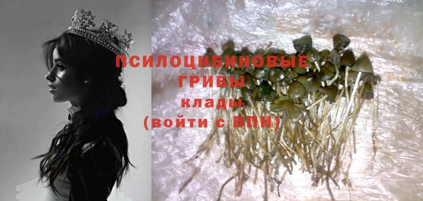 мяу мяу мука Лабытнанги