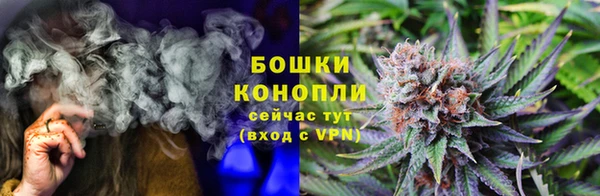 мяу мяу мука Лабытнанги