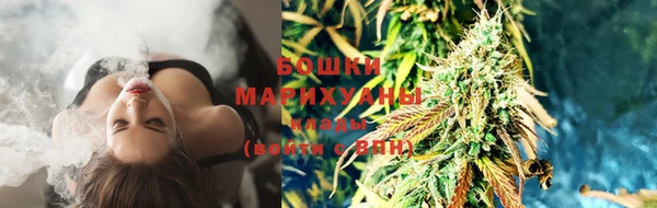 ГАЛЛЮЦИНОГЕННЫЕ ГРИБЫ Братск