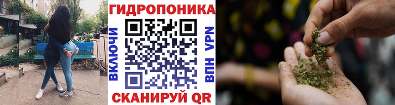 Марихуана VHQ  нарко площадка клад  Павловская  где можно купить наркотик 